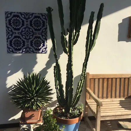 La Mediterranea *