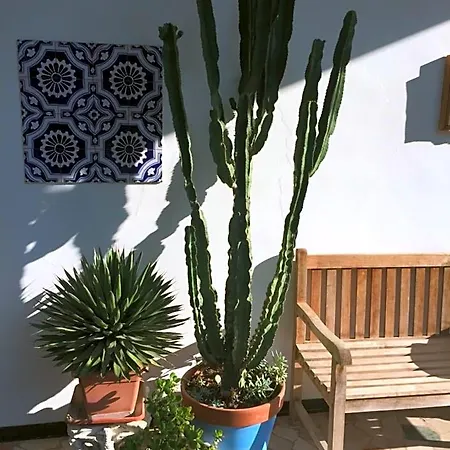La Mediterranea Passirano