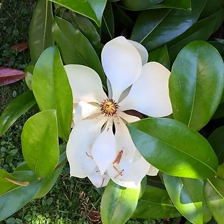 La Mediterranea 3*